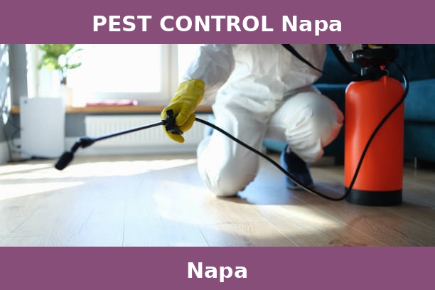 PEST CONTROL Napa
